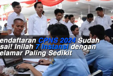 Pendaftaran CPNS 2024 Sudah Usai! Inilah 7 Instansi dengan Pelamar Paling Sedikit