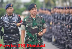 Terbanyak TNI AD, Daftar Lengkap Nama 76 Perwira TNI Dimutasi