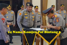 13 Nama Komjen Pol Dapat Tugas Mentereng di Luar Struktur Polri, Ketua KPK hingga Kepala BNN