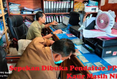 WAW! Sepekan Dibuka Pendaftar PPPK Kaur Masih Nihil, Ada Apa Ya?