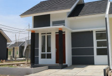 Rumah Komersil Tipe 50 dengan Dp Minimal Rp 50 Juta di Padang Harapan, Bengkulu