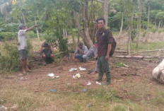 Temuan Jejak Harimau, BKSDA Ingatkan Warga Tak Kandang Ternak di Kawasan Bendungan Air Nasal