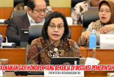 Gaji Honorer 4 Kategori Ini Bakal Naik Tahun 2025