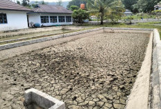 BBI Nasal Krisis Air, 36 Kolam Mengering Akibat Bendungan Jebol