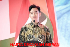 Jadi Pejabat Tertinggi Kedua di Indonesia, Ternyata Segini Harta Kekayaan Gibran Rakabuming Raka