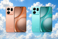 Rincian Harga HP Realme dan Oppo Terbaru, Update 20 Agustus 2026
