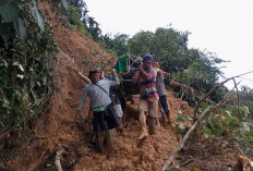 Hujan, Puluhan Rumah Terendam Banjir, 12 Titik Longsor, Manna-Pagar Alam Lumpuh, Hingga Gagal Panen