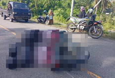Laka Tunggal Elak Jalan Berlubang Proyek Tambal Sulam, Kakak Wabup Kaur Jadi Korban MD