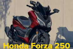 Honda Forza 250, Motor Matic Terbaru 2025 Segara Hadir, Ini Spesifikasi 