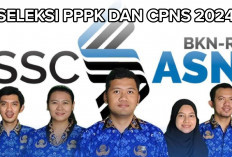 Ingin Ikuti Seleksi PPPK dan CPNS 2024! Simak Berikut Cara Buat Akun SSCASN dan Daftarnya