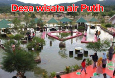 MENARIK! Desa Wisata Air Putih di   Babel Tawarkan 10 Produk Pariwisata