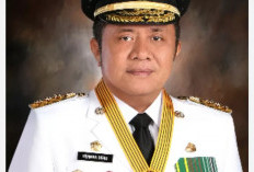 Mantan Gubernur Sumsel Terkaya di Sumatera, Segini Harta Kekayaannya Tercatat di LHKPN
