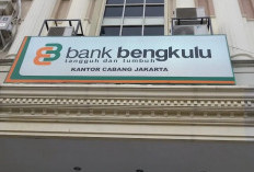 DPR RI Dukung Rencana Penurunan Bunga KUR 5 persen, UMKM Dapat Manfaatkan Bank Bengkulu