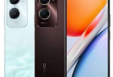 HP Vivo Tahan Air dan Debu, Kini Y18 Peringkat Teratas dengan Fitur Lengkap dan Mewah