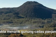 Arti Nama Gunung Cadas Panjang dan Fakta Menariknya