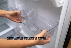 Penasaran Bagaimana Cara Kerja Kulkas 2 Pintu? Ini Penjelasannya!