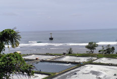 18 ABK Kapal Kargo GCS Sudah Dipulangkan ke Pulau Jawa