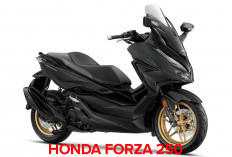 Honda Forza 250 Motor Matic Premium dengan Sejuta Fitur Canggihnya!