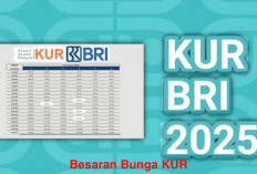 Berapa Besaran Bunga KUR 2025, Berikut Rinciannya 