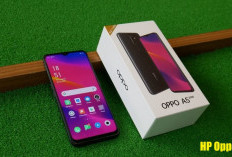 Desain Stylish dan Harga Terjangkau, Ini Alasan HP Oppo A5 Jadi Favorit