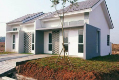 Inspirasi 6 Model Atap Dapur Kecil di Belakang Rumah Subsidi, Cocok untuk Budget Terbatas!