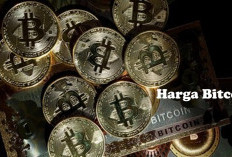 Diretas Hacker, Harga Bitcoin Langsung Melonjak Naik