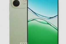 Handphone Terbaru Bagus Dimiliki, Berikut Ulasan Oppo A5 Pro