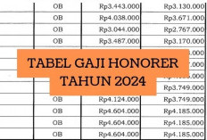 Honorer yang Lulus PPPK 2024, Segini Gaji Pertama Mereka