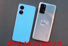 Adu Pertaurangan di Kelas Rp 2 Jutaan: OPPO A17 dengan A16 Mana yang Paling Menarik?