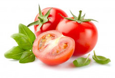Selain Menyehatkan Mata, Ini Manfaat Buah Tomat Penting untuk Diketahui