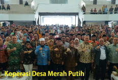 Perkembangan Koperasi Desa Merah Putih Terkini di Bengkulu