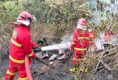 Musim Panas, Tingkatkan Kewaspada Terhadap   Api, Telah Terjadi Kebakaran Lahan di Linau