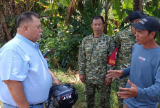 Bupati Rifai Turun Langsung ke PT SBS, Pastikan Dugaan Pencemaran Sungai Selali Diusut Secara Transparan