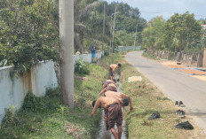 Siring Pasang Jalan Provinsi Tersumbat, Siswa Turun Tangan Bersihkan Sampah