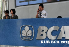 Butuh Modal Usaha, Ajukan di KUR BCA 2025 Saja! Ada 2 Jenis Pinjaman Loh, Buruan Cek Syarat dan Tata Caranya