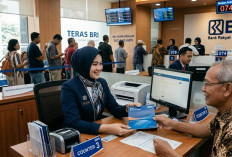 Kupas Tuntas KUR BRI 2026, Simulasi Plafon Rp 70 – Rp 100 Juta, Angsuran Ringan Bikin UMKM Tumbuh