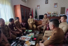 Program Bibit Sawit Gratis Tahap Dua Segera Disalurkan, Cek di Sini Jadwalnya