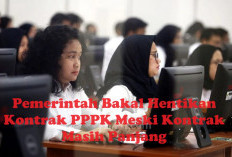 KABAR BARU! Pemerintah Hentikan Kontrak PPPK Meski Kontrak Masih Panjang, Ini Alasannya