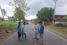 Selesai Buang Sampah, Pejalan Kaki di Kulik Meninggal Dunia Tertabrak Motor Vario