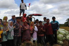 Petani Diminta Kembangkan Benih Padi Inpari 32, Ini Keunggulannya