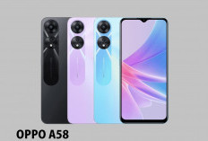 3 Ponsel OPPO Direkomendasi untuk Pelajar, Yuk Cek Jenis – Jenisnya di Sini! 