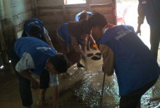 PATUT DITIRU! Bantu Korban Banjir, yang  Dilakukan Siswa SMAN 5 Kaur Sangat Mulia 