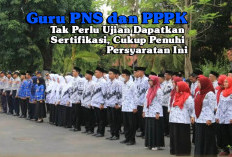 Guru PNS dan PPPK Tak Perlu Ujian Dapatkan Sertifikasi, Cukup Penuhi Persyaratan Ini