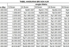 Rincian Tabel Angsuran Non KUR BRI 2024, Pinjaman Hingga Rp 500 Juta