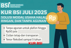 Pinjaman Modal Syariah Bagi Pelaku UMKM, KUR BSI Jawabannya