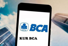 Ajukan Pinjaman Modal Usaha Tanpa Ribet dan Mudah, di KUR BCA Saja! Intip Syarat dan Caranya di Sini