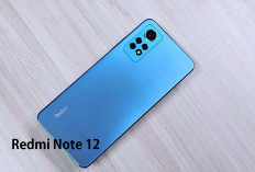 Cari Handphone Berkualitas dengan Harga Terjangkau, Redmi Note 12 Pilihannya! Cek di Sini Spesifikasinya!
