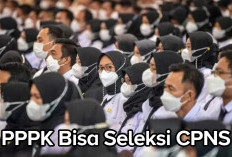 TERBARU! PPPK Ternyata Bisa Ikut Seleksi CPNS 2024, Simak di Sini Caranya