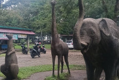 Investor Revitalisasi Taman Remaja Bengkulu Mundur, Ini Tanggapan Gubernur