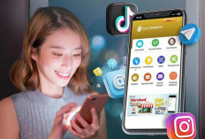 Tabel KUR Bank Bengkulu Juli 2026 Terbaru, Pinjam Rp 350 Juta Cicilan Mulai Rp 6,7 jutaan